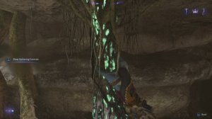 Avatar: Frontiers of Pandora CAVE ROOT exquisite, superior Location