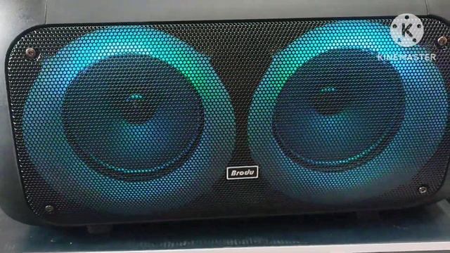 Brodu Party Speaker 1709 And 1739 Review