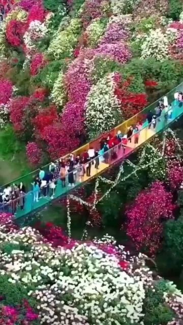 Beautiful Nature Status Place Shorts #subscribe #like