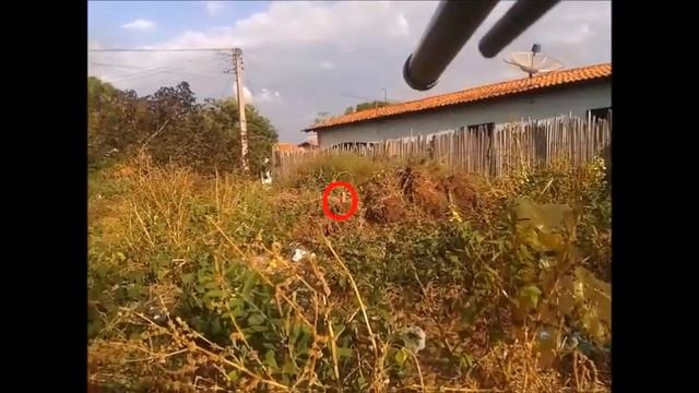 AIRSOFT EM ALTO ALEGRE DO MA ESPINGARDA CASEIRA com camera lenta.. смотреть онлайн