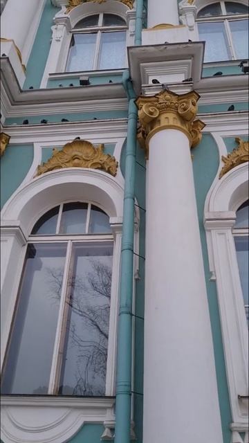 Петербург. Зимний Сад. смотреть онлайн