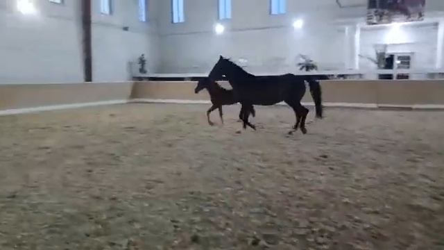 РУССКАЯ ЗАРЯ 3 месяца смотреть онлайн