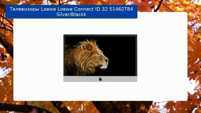 Телевизоры Loewe Loewe Connect ID 32 51462T84 Silver/Blackk обзор и отзыв