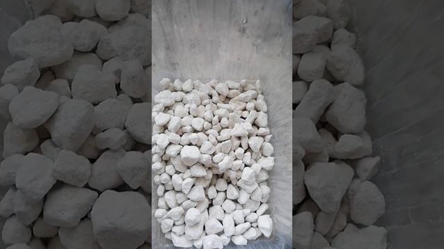 Песчанка в глазури/эксперемент