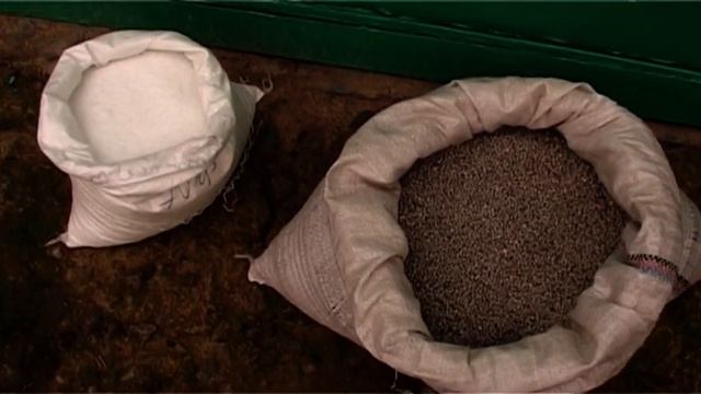 Коротко о главном. Осенние удобрения смотреть онлайн