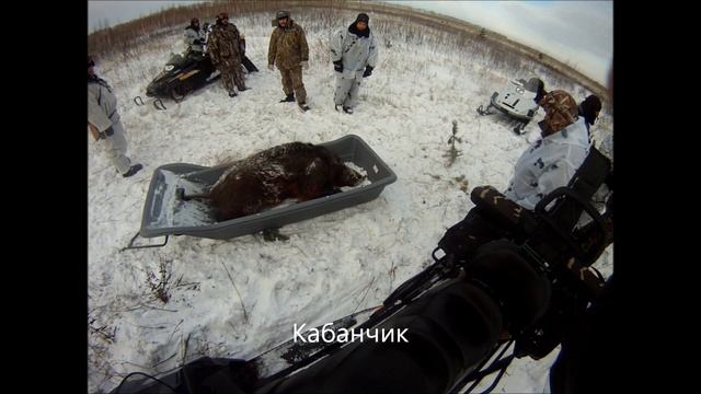 Кабанчик.wmv