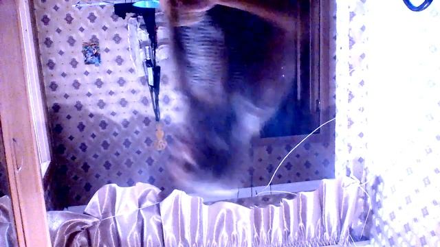 Уборка в доме часть вторая //Милана Леон // смотреть онлайн