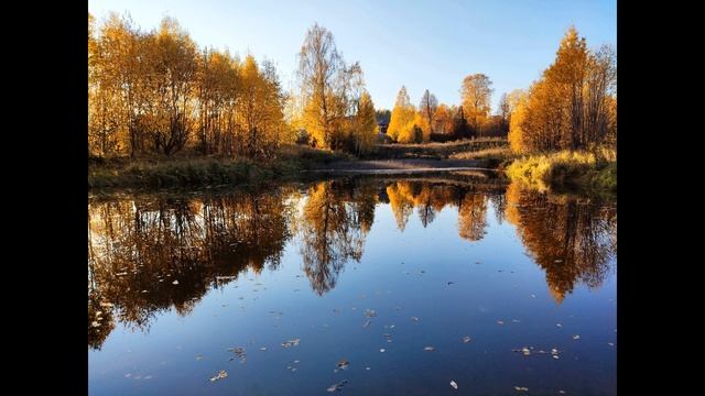 С  Есенин  Закружилась листва золотая  #стихиобосени #поэтысеребряноговека
