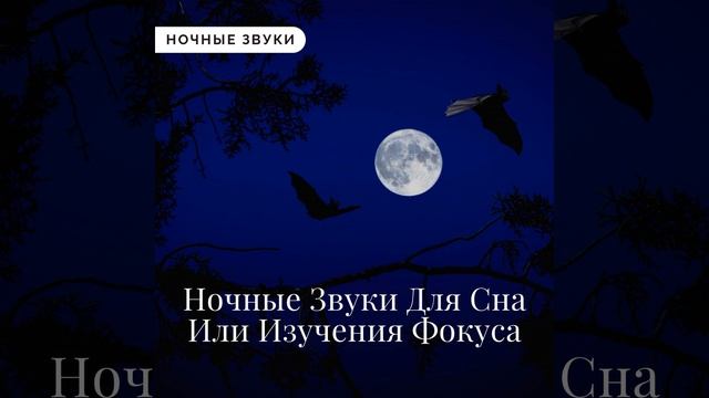 Звуки Звезд