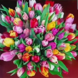 Поздравление с 8 марта