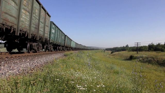 Два американца с длинным составом в гуще летних степных цветов | General Electric double TE33AC смотреть онлайн