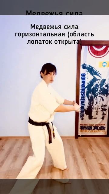 Медведь и тигр...