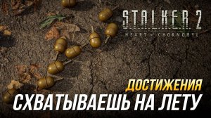 Достижения S.T.A.L.K.E.R. 2 - Схватываешь на лету