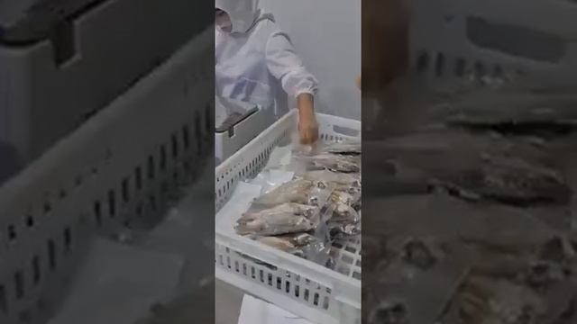 Астраханская вобла, цех смотреть онлайн