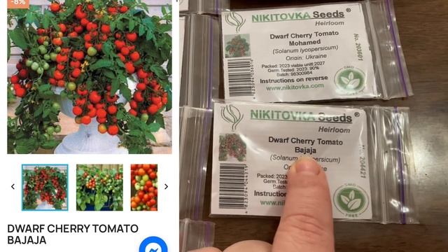 Unbelievable Ukrainian Seed Haul - Countless Unusual Tomato & Cucumber Varieties! смотреть онлайн