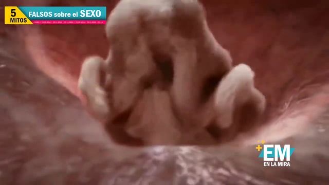 5 Mitos Falsos Sobre El Sexo | EN LA MIRA