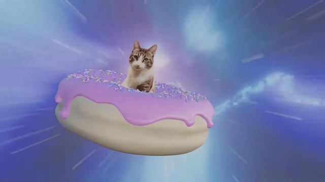 Stewie The Space Cat Goes Through A Worm Hole -  Blender Donut