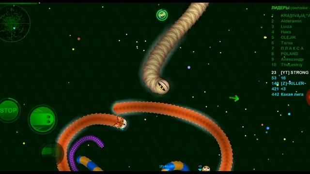 Wormax.io Обычная игра смотреть онлайн