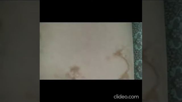 Чистка дивана от Мастер Блеск смотреть онлайн