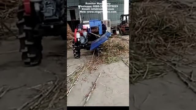 Автоматическая машина для очистки листьев сахарного тростника смотреть онлайн