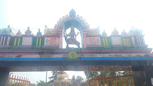 సమ్మక్క సారలక్క జాతర మేడారం 2024 | medaram jathara 2024 | sammakka sarakka jathara 2024 #sammakka смотреть онлайн