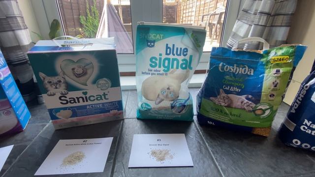 The Best Cat Litter for Litter Robots