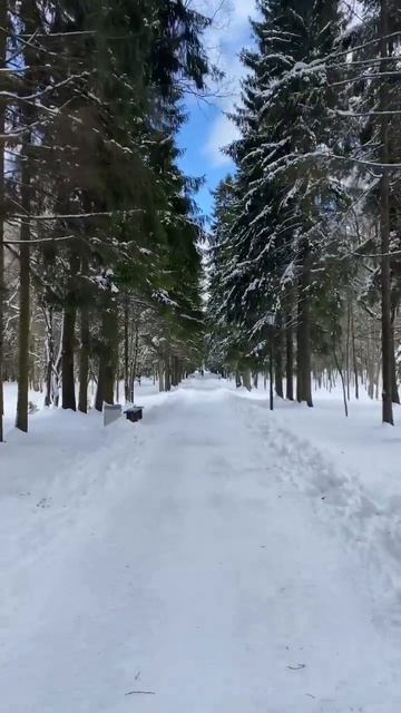 Природа 2023 Санкт Питербург 2023 Гатчина 2023 смотреть онлайн