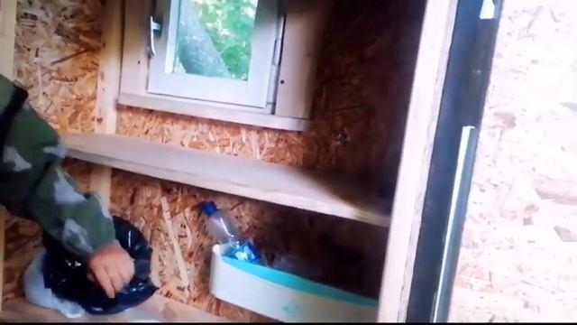 Обзор лесного домика в "ПАСЕКЕ ОХОТХОЗ ФАЗАН" смотреть онлайн