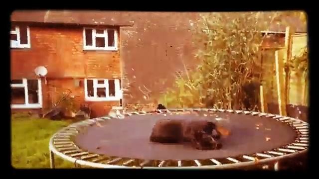 Мой лучший друг любит батут смотреть онлайн