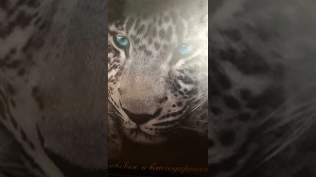 Англия ОКЕАН ФАНТАЗИЙ Бони М исполняет Влад. Семенов