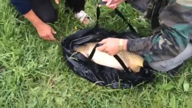 abe4a311c2465508c4d086f5c703c0b97bc004ca0ec14f8ae1 смотреть онлайн