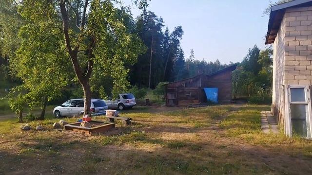 Огород начинает радовать. Подарили подарок соседке. Долгожданный дождь. смотреть онлайн