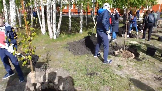 "ProОбразование": Акция "Классное дерево" смотреть онлайн