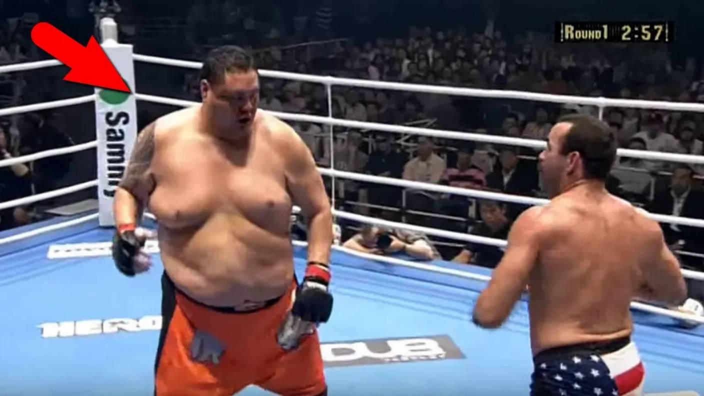 6 самых толстых бойцов мма. Кунг-Фу Панды в реальной жизни! смотреть онлайн