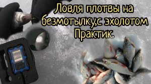 Ловля плотвы на безмотылку с Эхолотом Практик 8 про вай фай.