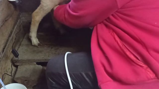 А у меня, ☺✨СЧАСТЬЕ!!!!!!! смотреть онлайн
