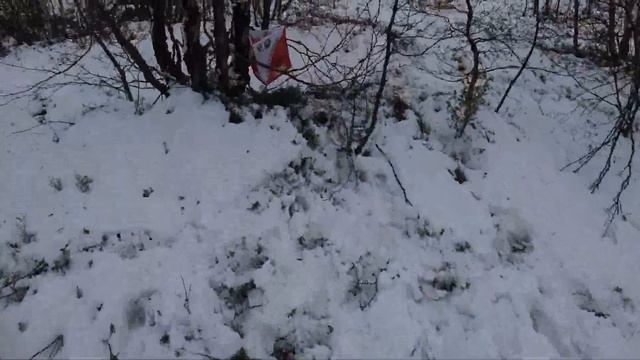 23 мая 2021 Мурманск Российский азимут смотреть онлайн