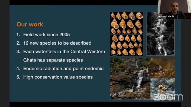 OutsideIn | Of Shells and Slimes: Molluscs in freshwater ecosystems смотреть онлайн