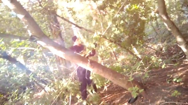 ишим:уютный лесок!!!!!cozy Grove