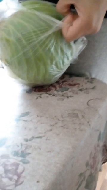 11 сентября 2022 г.