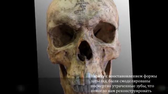 Сарматы.Филипповские курганы. Нечвалода А.И. смотреть онлайн