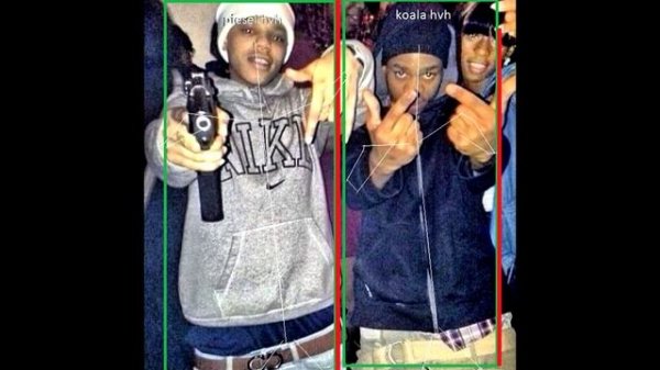 piesel hvh ft koala hvh - otc