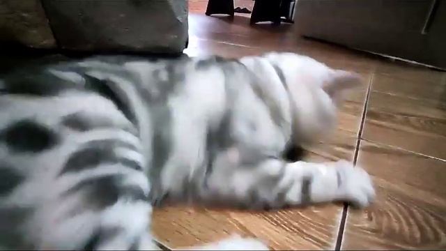 арт бетон смотреть онлайн