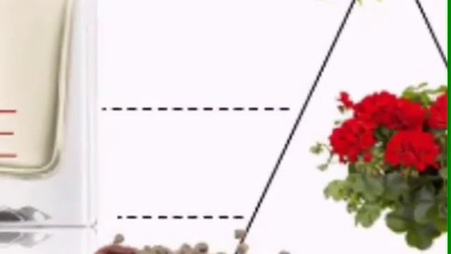 Новый аромат от Avon!! Сотрудничество с Kenzo!!!