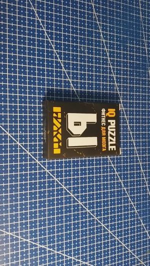 Собрать IQ puzzle буква Ы из 13 деталей ( Arrange the Ы out of 13 pieces)