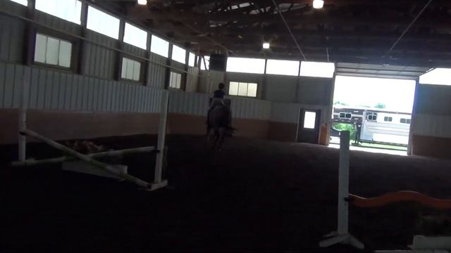 "Donatello" 8 yr old Thoroughbred смотреть онлайн