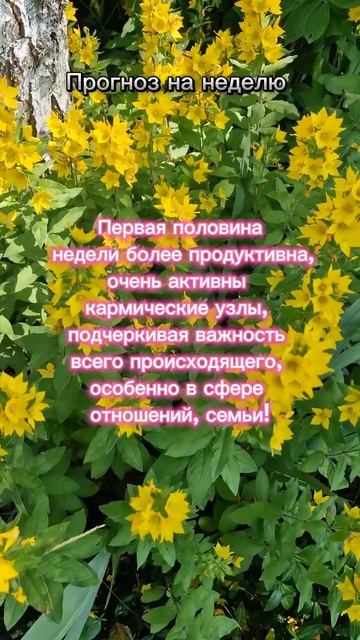 #Астрологический_прогноз_на_неделю с 1 по 7 июля. Новолуние 6 июля. Меркурий во Льве. смотреть онлайн