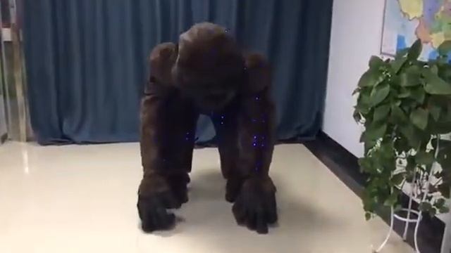 Cartoon OEM Project LED Gorilla, LED Animal Costume, Orangutans with Light смотреть онлайн