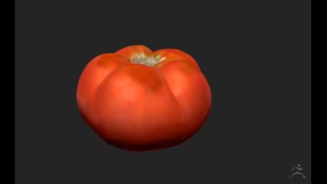 Tomato PolyPaint