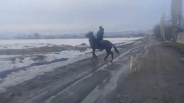 ЖАЛАЛ-АБАД сузак жергетал. кунан 120 мин тел:+996777735455 смотреть онлайн